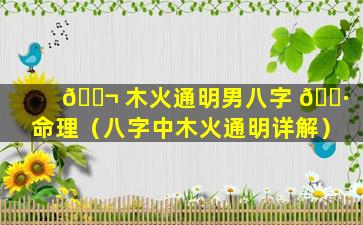 🐬 木火通明男八字 🌷 命理（八字中木火通明详解）